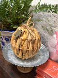 Ratan Pumpkin