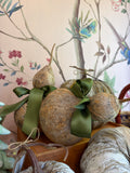 Dried Gourd