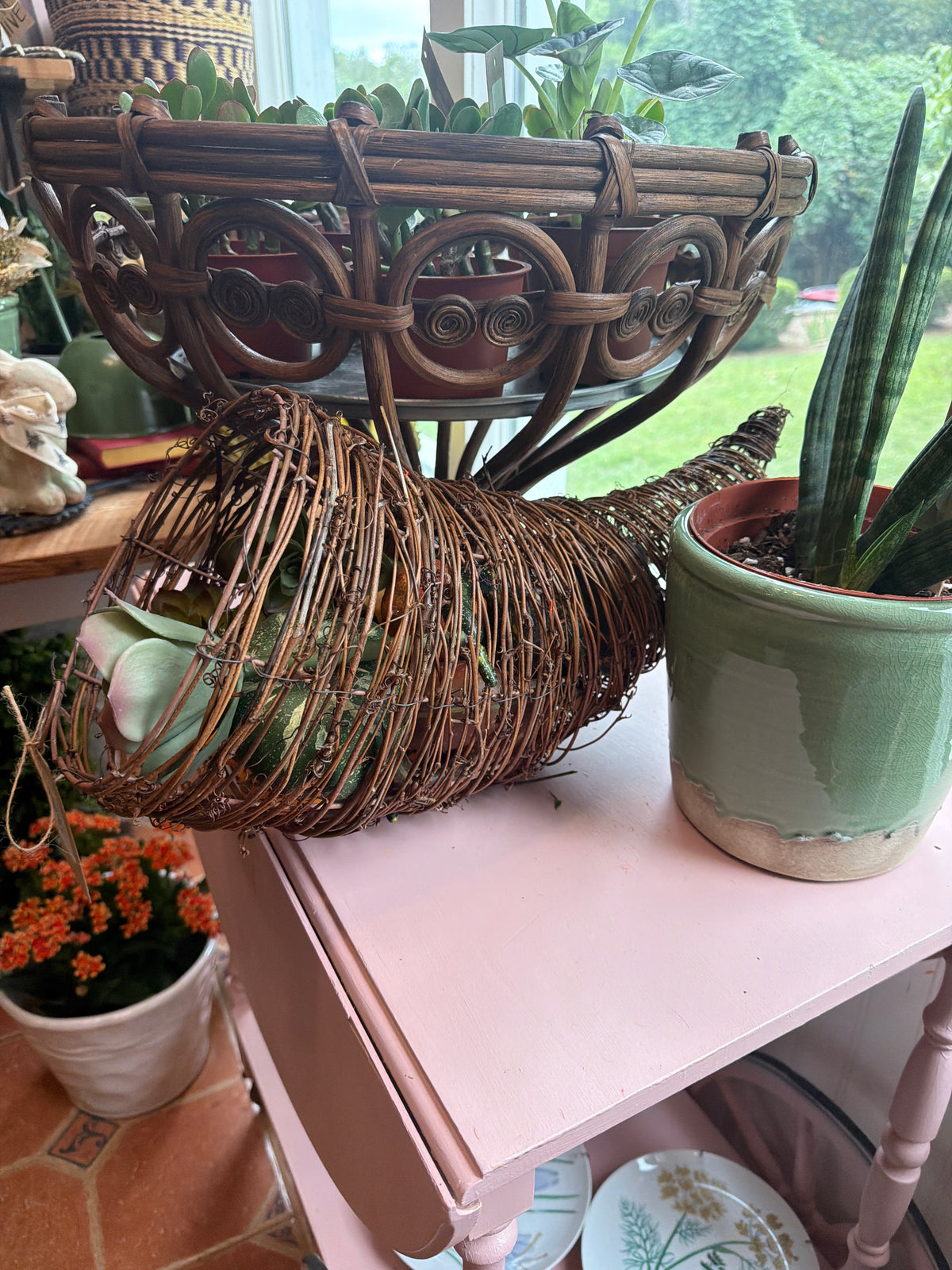 Cornucopia