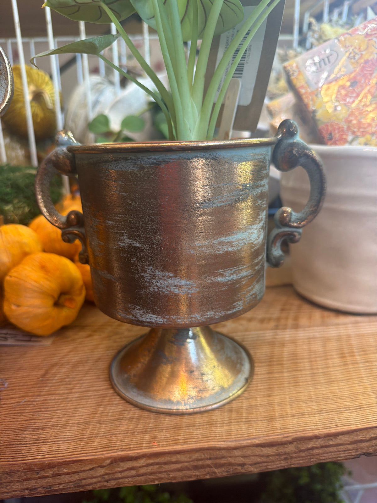 Antiques Cooper Finish Planter, Small