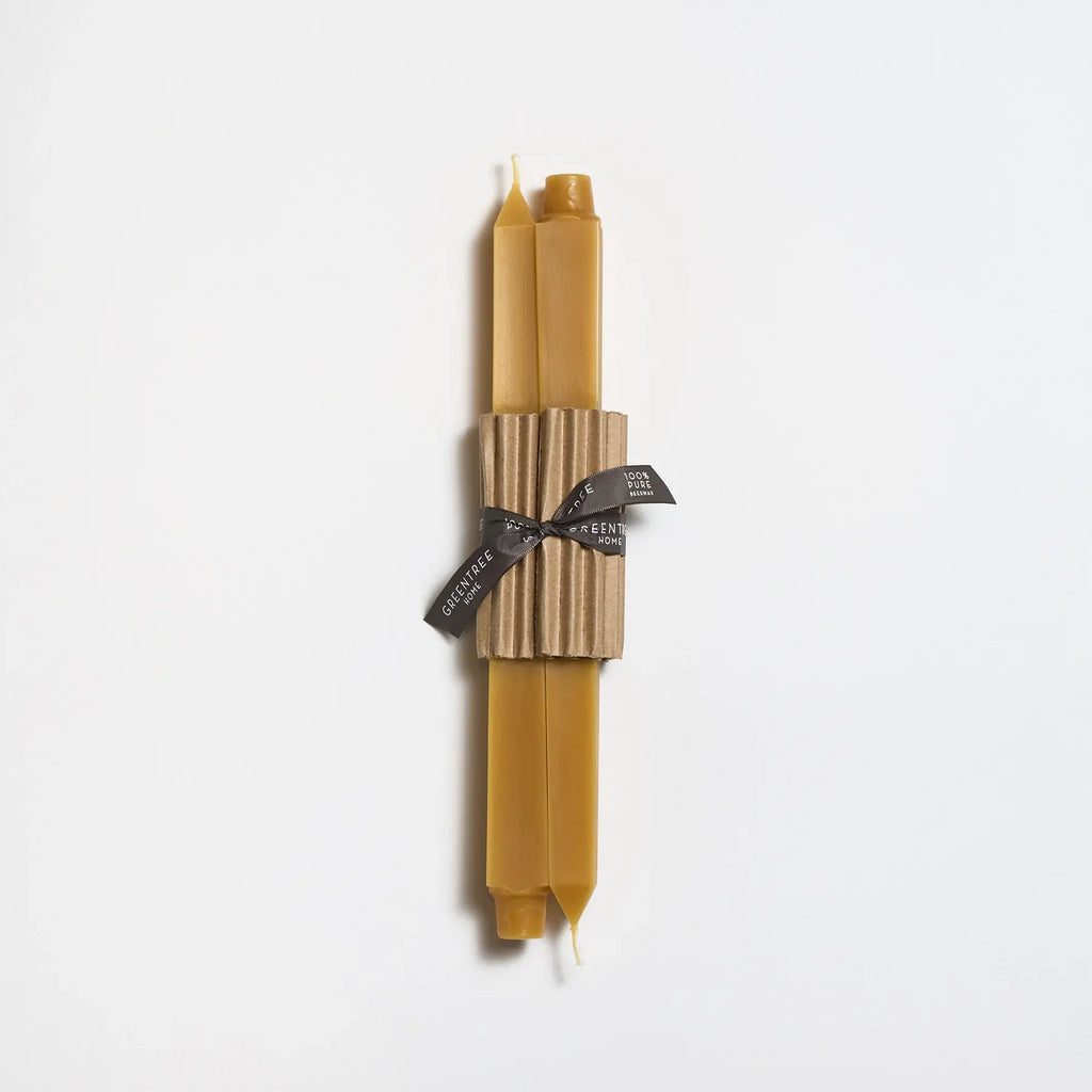 12" Square Taper Handmade Beeswax Candles: Sage