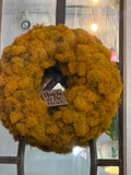 10" Reindeer Moss Orange wreath