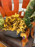 Fall Leaves