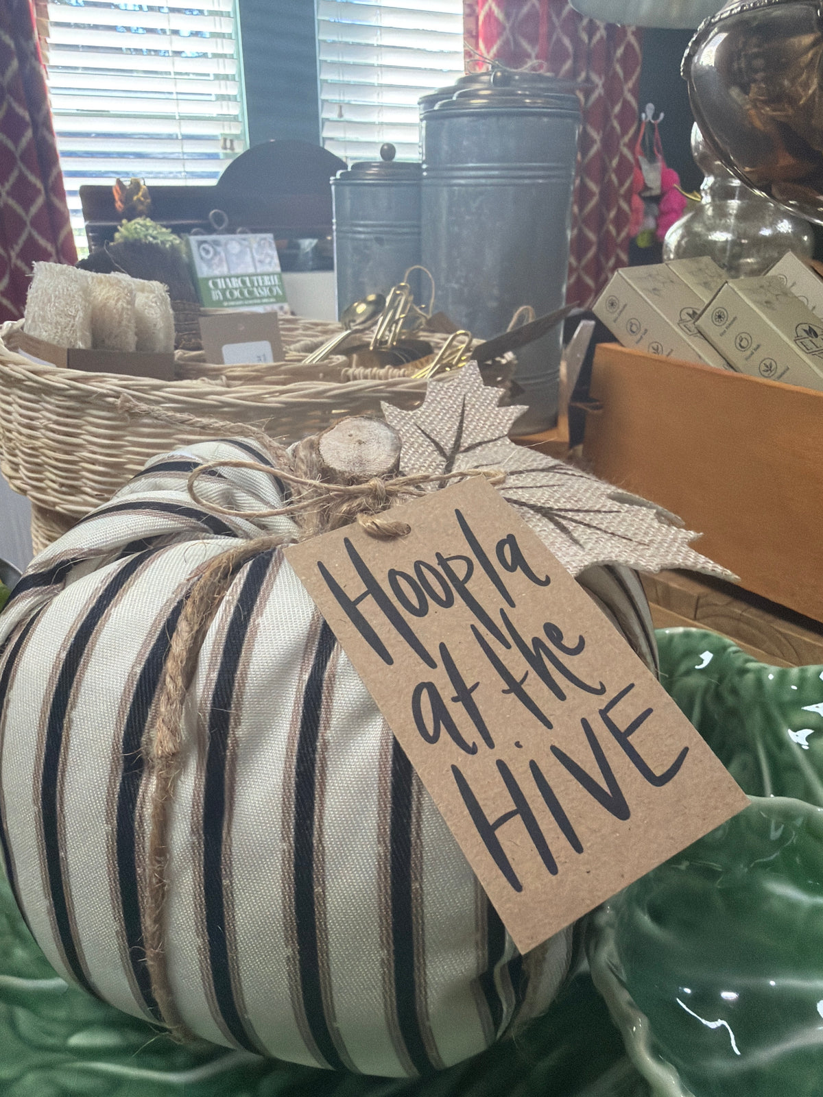 Black and Cream Pumpkin