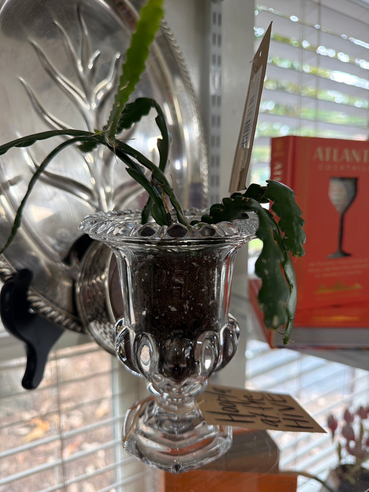 Ric Rac in glass Urn